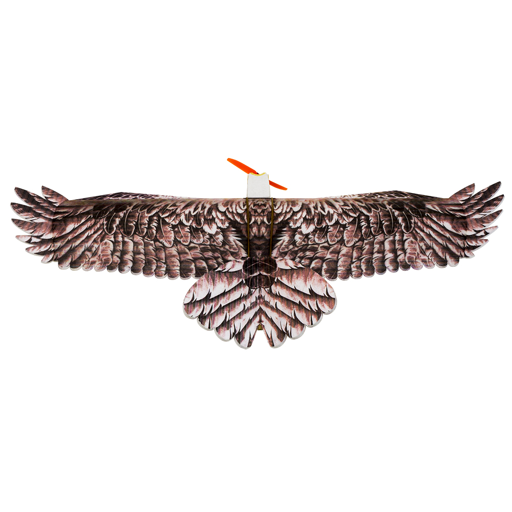 DW Hobby Eagle II EPP Airplane - огляд і ціна Rc Hobby Online